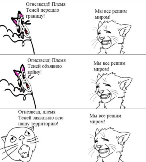 Коты воители картинки мемы