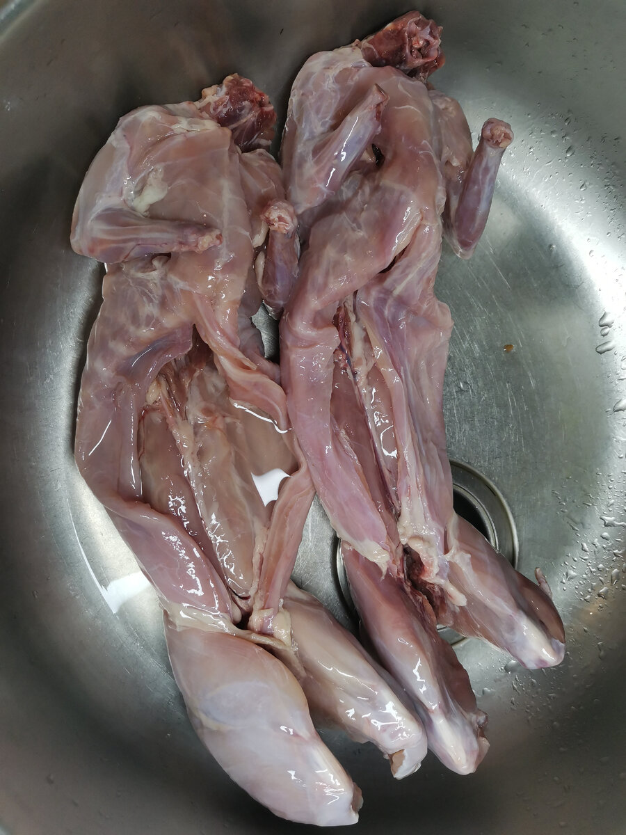 Это правда не кошки) 