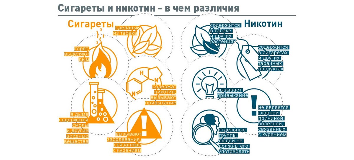 https://special.kommersant.ru/pmi-science/nikotine.html?utm_source=relap&utm_medium=cpc&utm_campaign=kommers4&utm_content=5&utm_term=6joSyf19e0g
