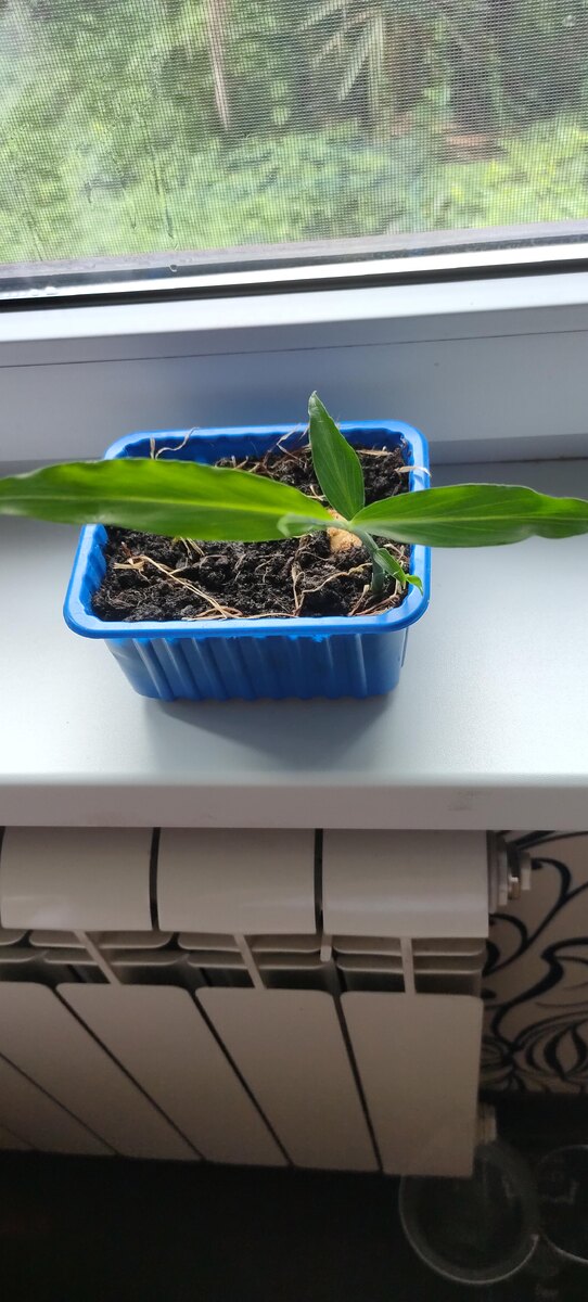 Такой вот " цветочек" у меня получился 