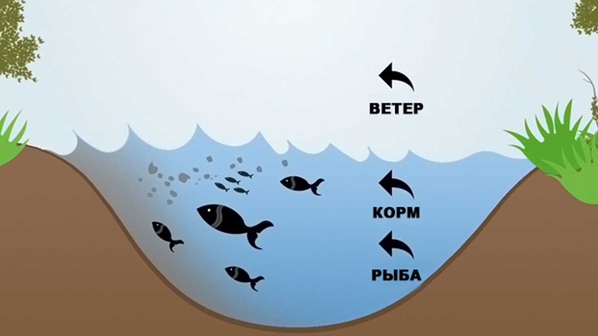 Ветер для рыбалки. Опыты с ветром. Как ловить ветер. Поплавочная снасть при ветре. Догнать био.