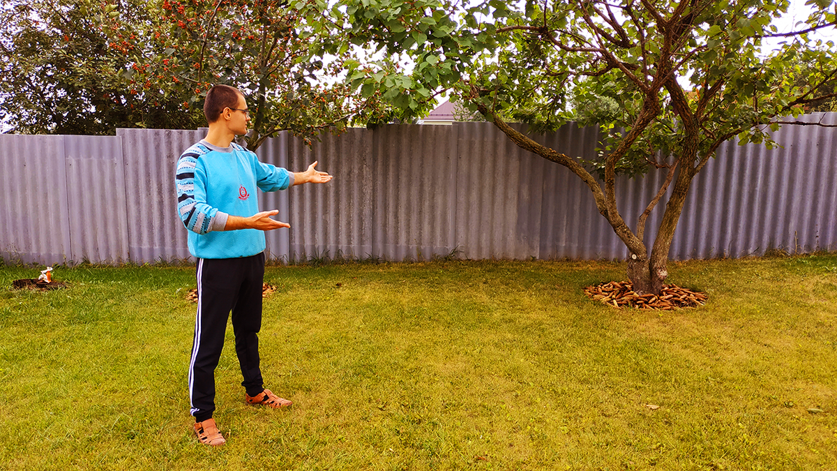 Забор на нашем участке