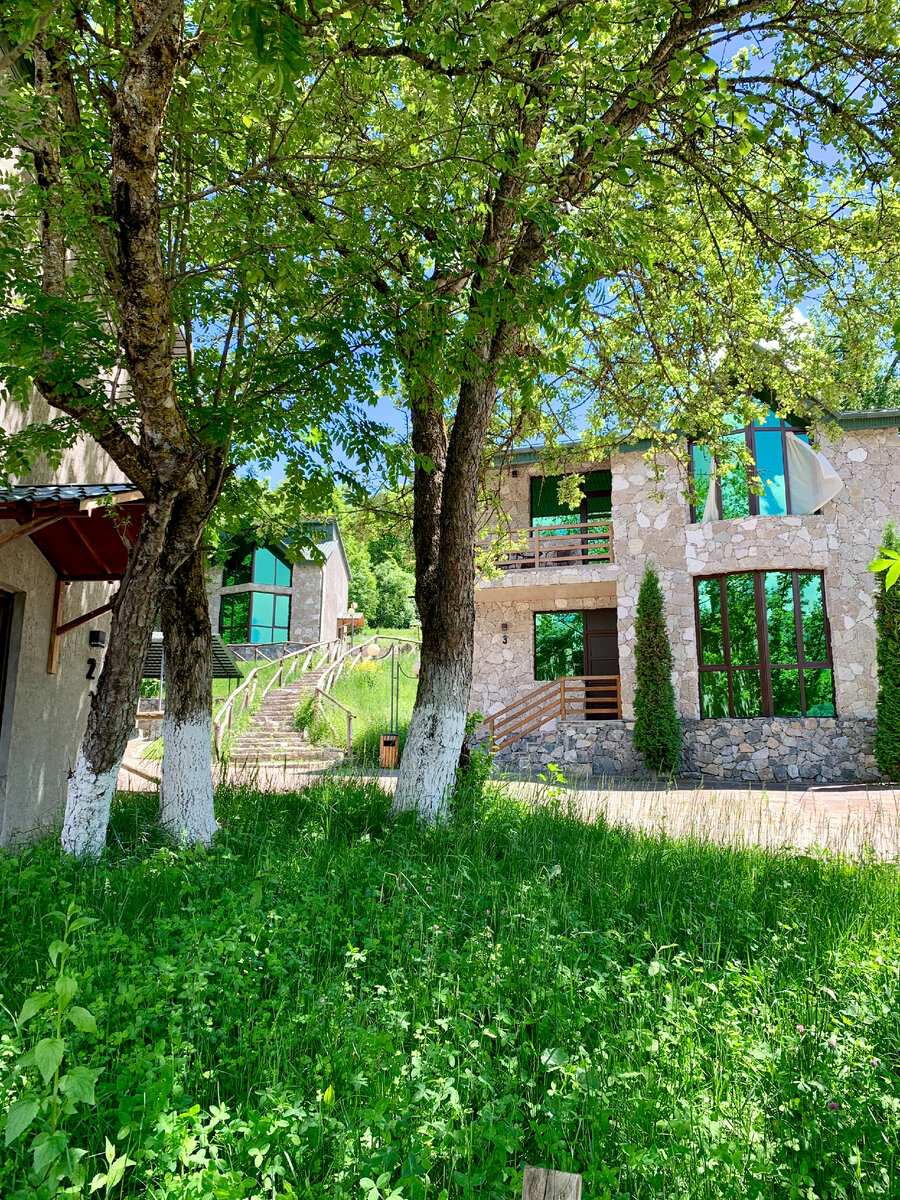 Dilijan resort. Дилиджан парк Резорт. Гостиница парк Резорт в Дилижане. Villa rest Dilijan. Dilijan Park Resort Villas.