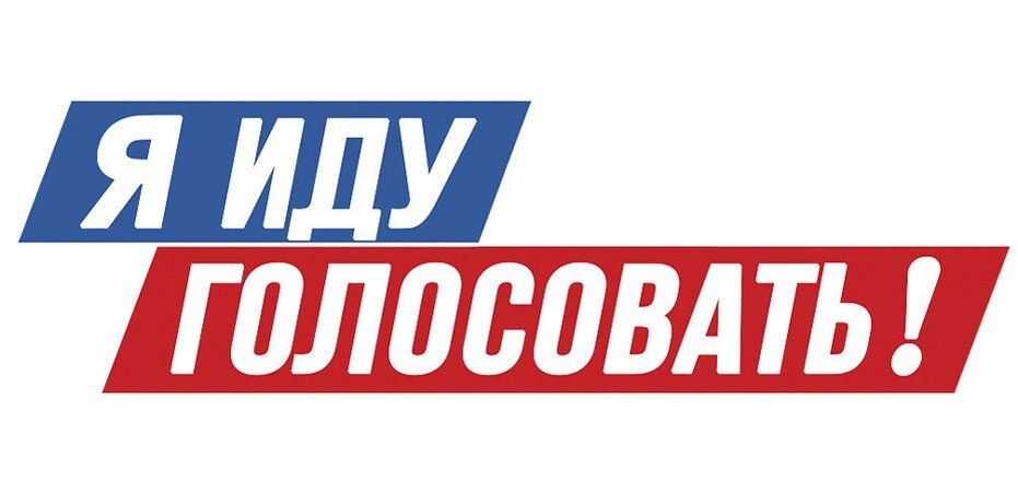 Голосование. Информация для уголка молодого избирателя. Можно идти голосовать. Можно идти голосовать. Буклет о выборах.