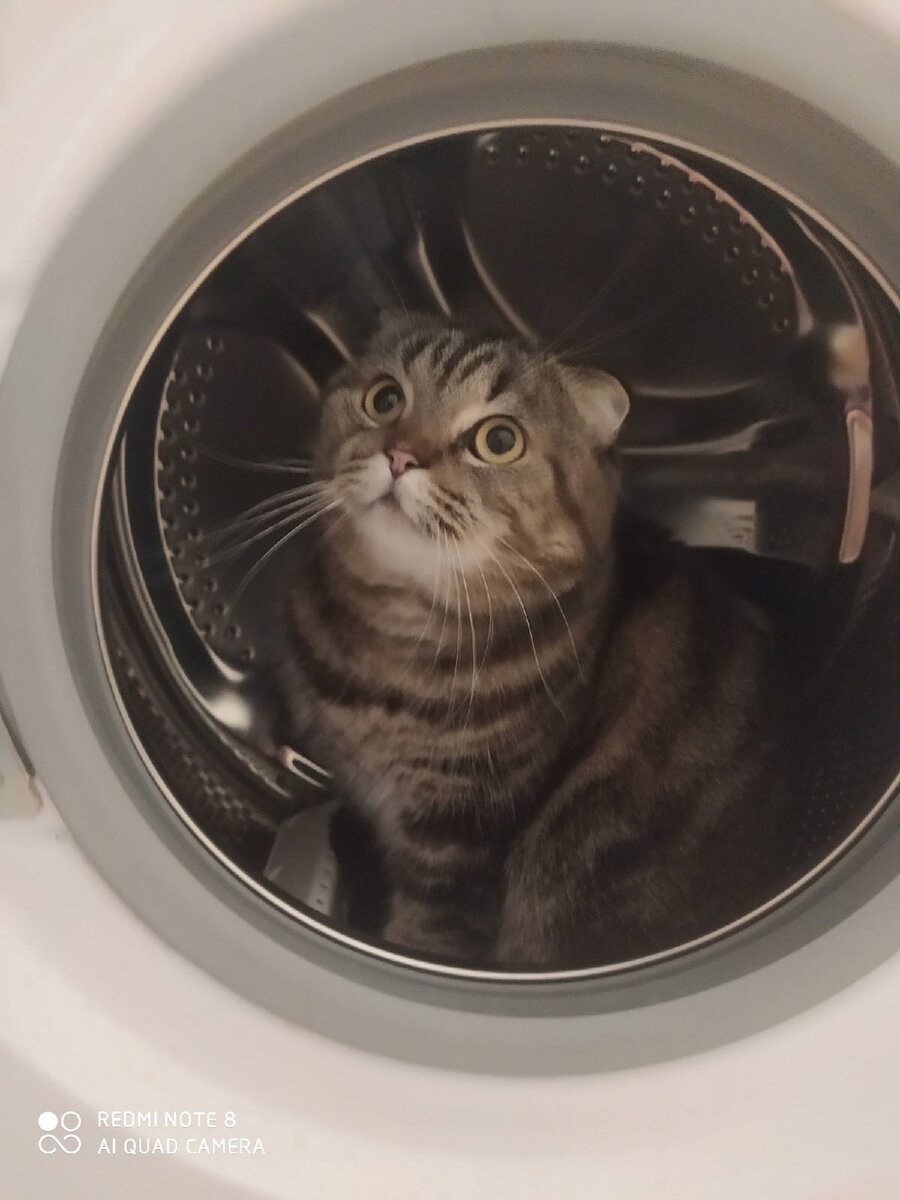 Ириска-сосиска