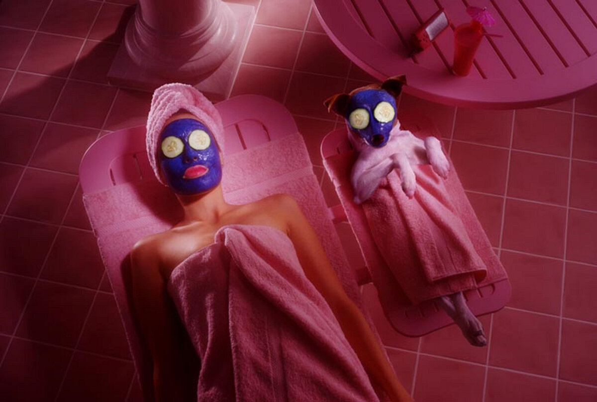 Фото из открытых источников