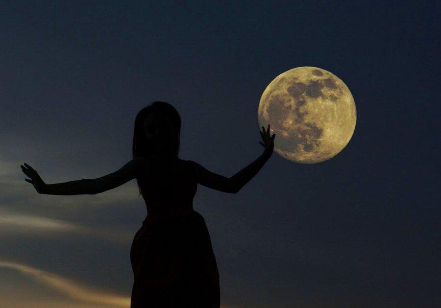 Фото: pixabay.com