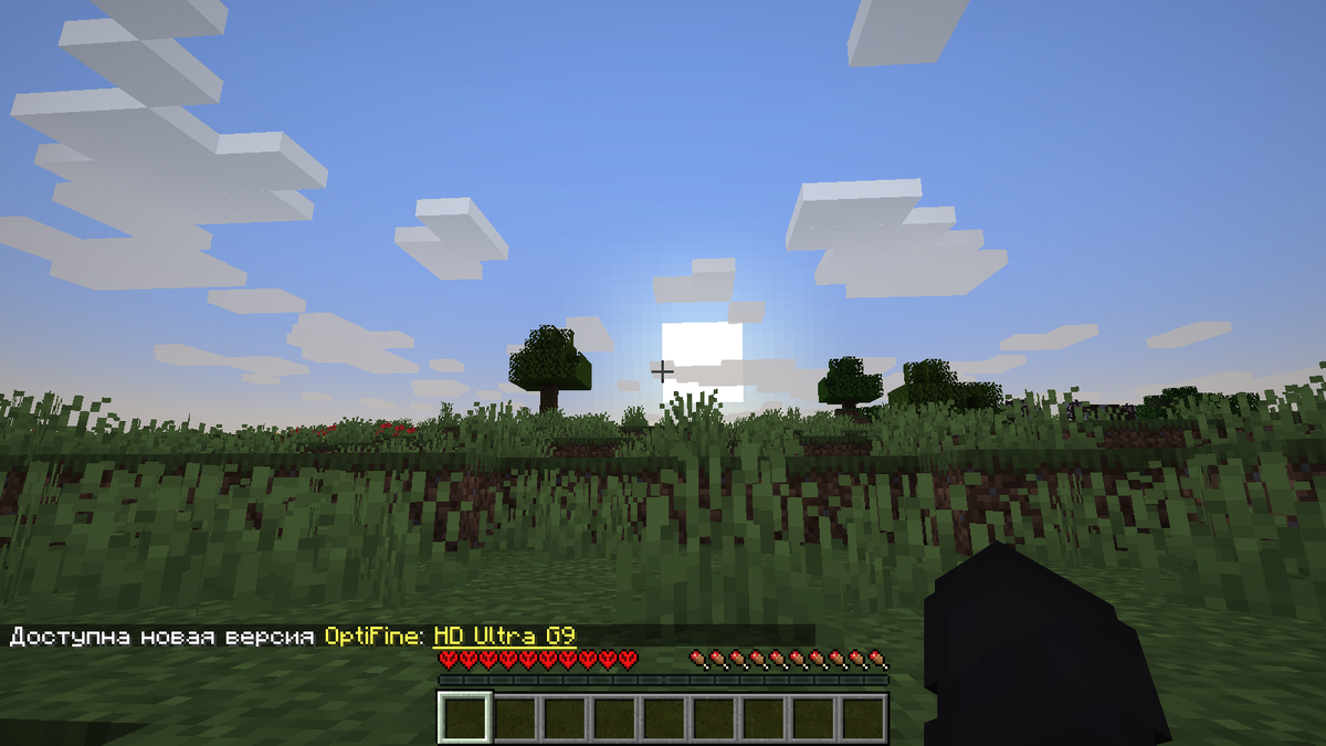 :) Да, я играю с OptiFine.
