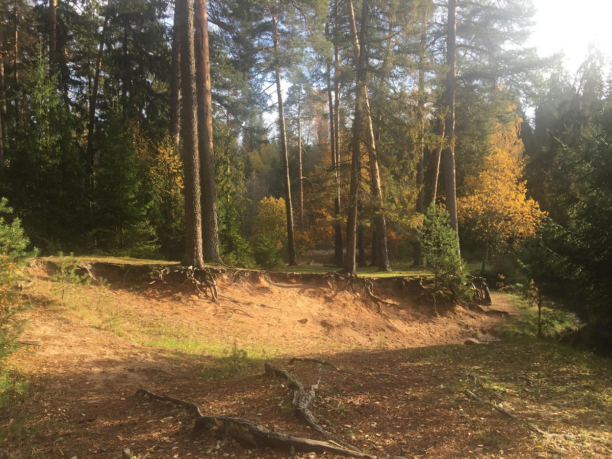 корни неуспевания