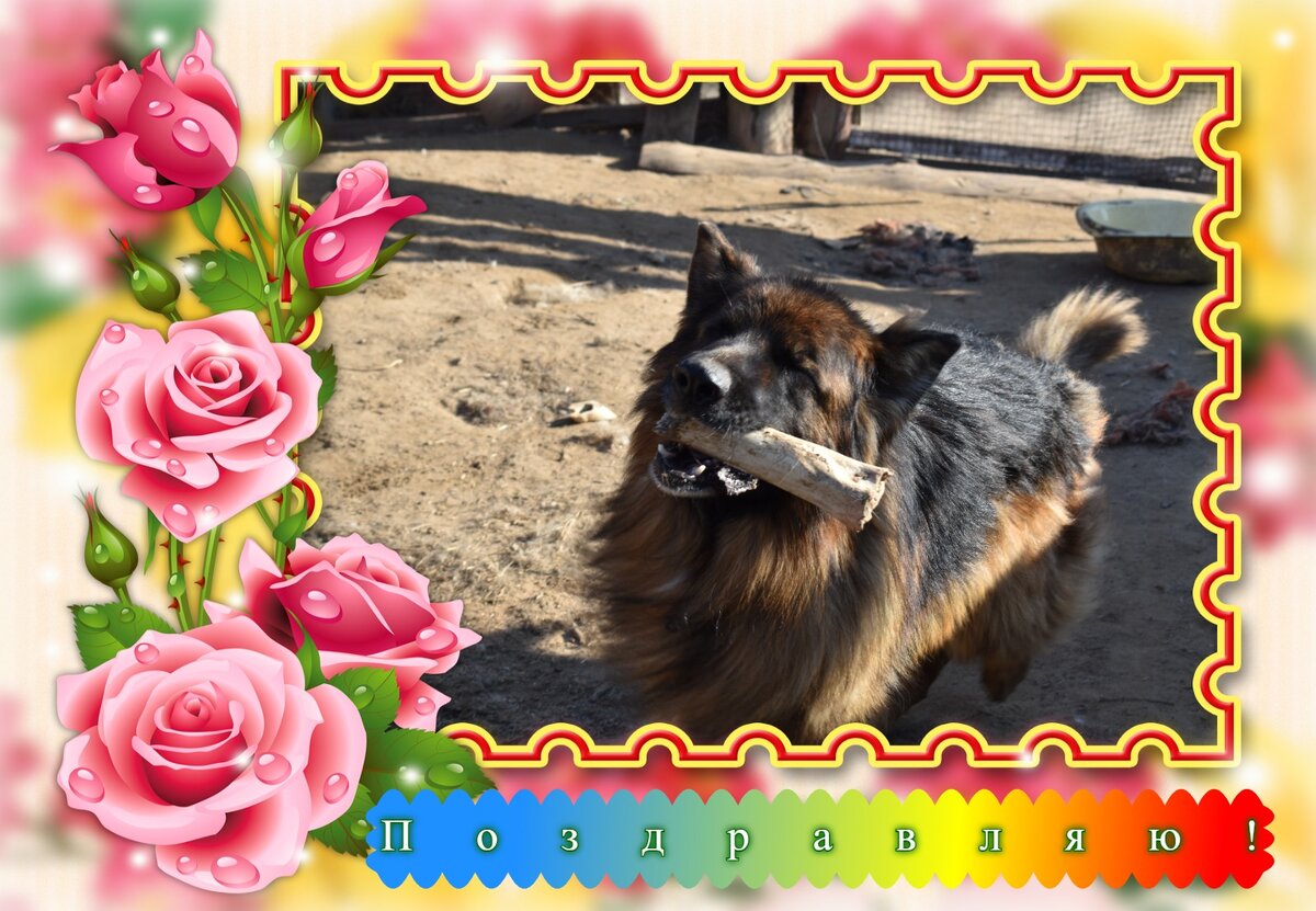 От Алмаза с любовью!