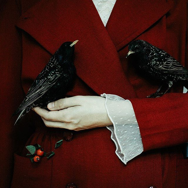 фото Laura Makabresku