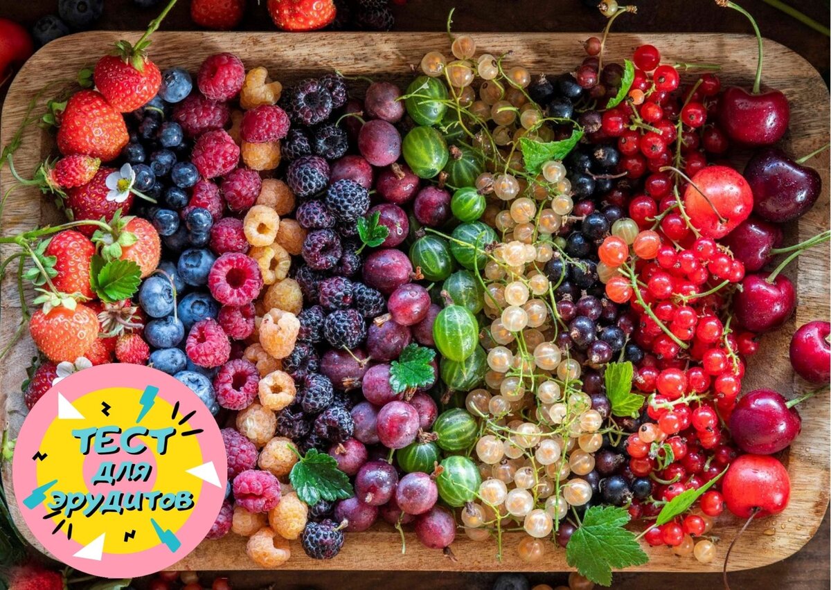 Источник изображения: pixabay.com, дизайн автора публикации