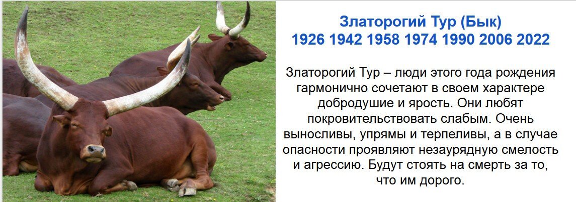 Год быка по календарю