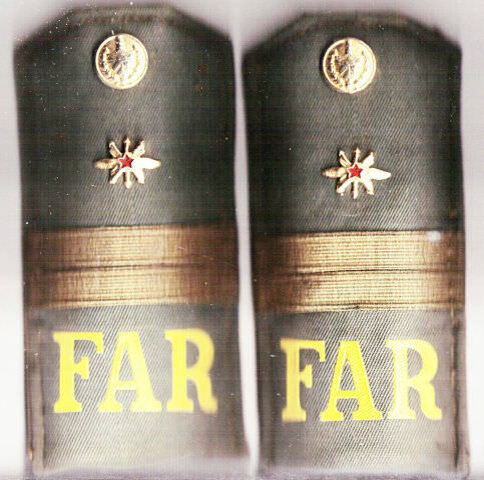 Погоны ГСВСК...