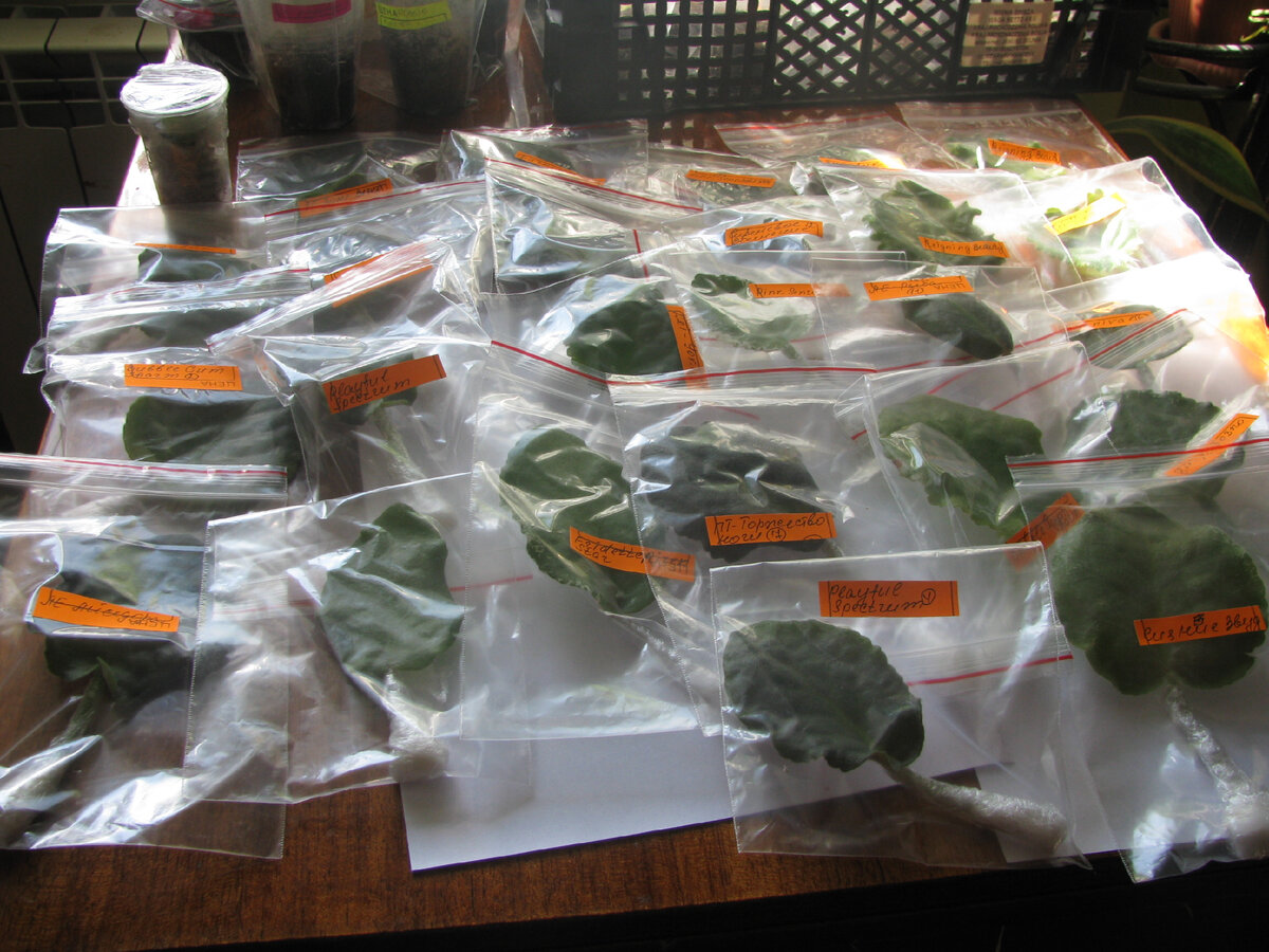 Вот еще одна посылка.