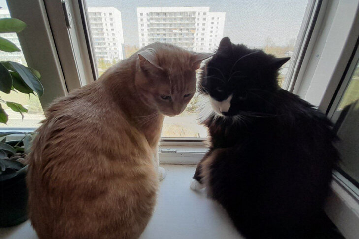    Новосибирцев ждет еще один перепад температур. Фото Натальи Нашталовой