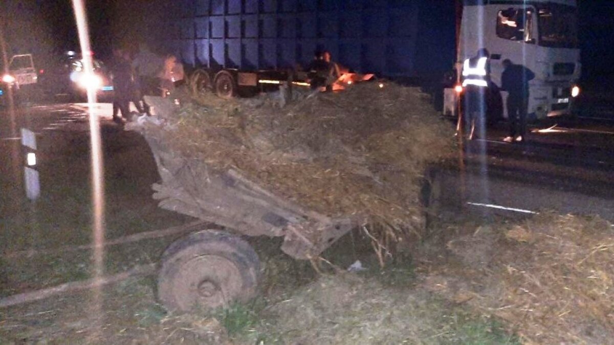    В Ивантеевском районе гужевая повозка угодила под КамАЗНовости Саратова и области – Сетевое издание «Репортер64»