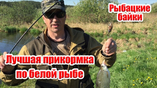 FISH SPORT наживка и прикормка для рыбалки магазин