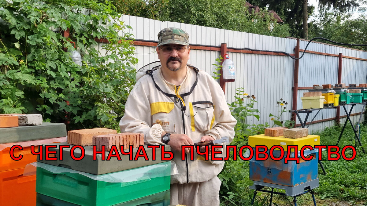С чего начинается пчеловодство