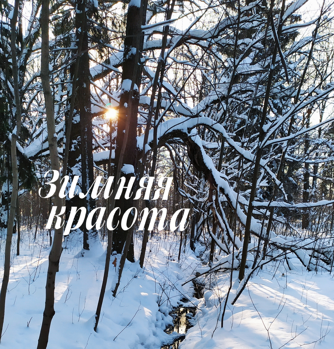 Все фото автора статьи. 