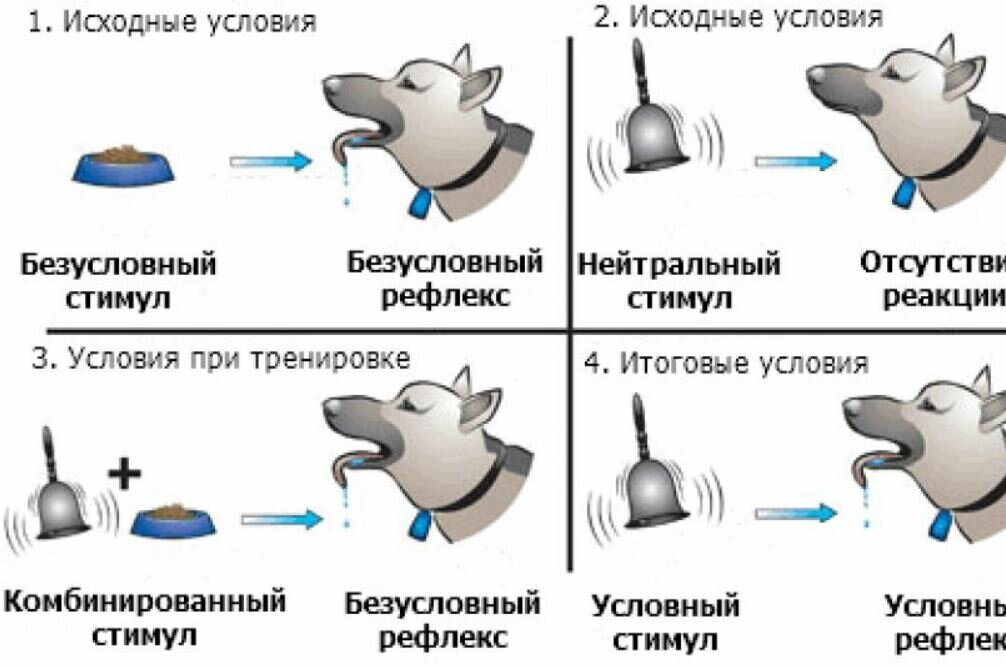 Чрезмерно реагирующий. Эвристика избыточной реакции.