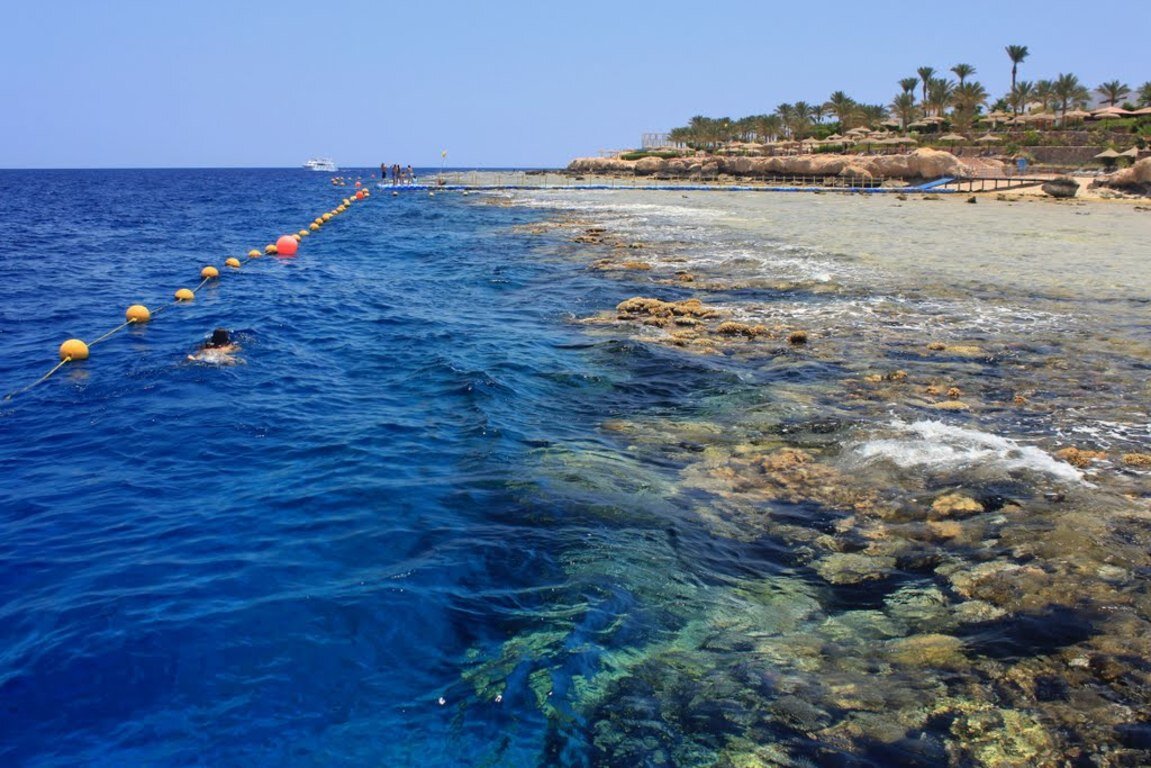 Фотогалерея пляж Palma Beach в Шарм-эль-Шейхе