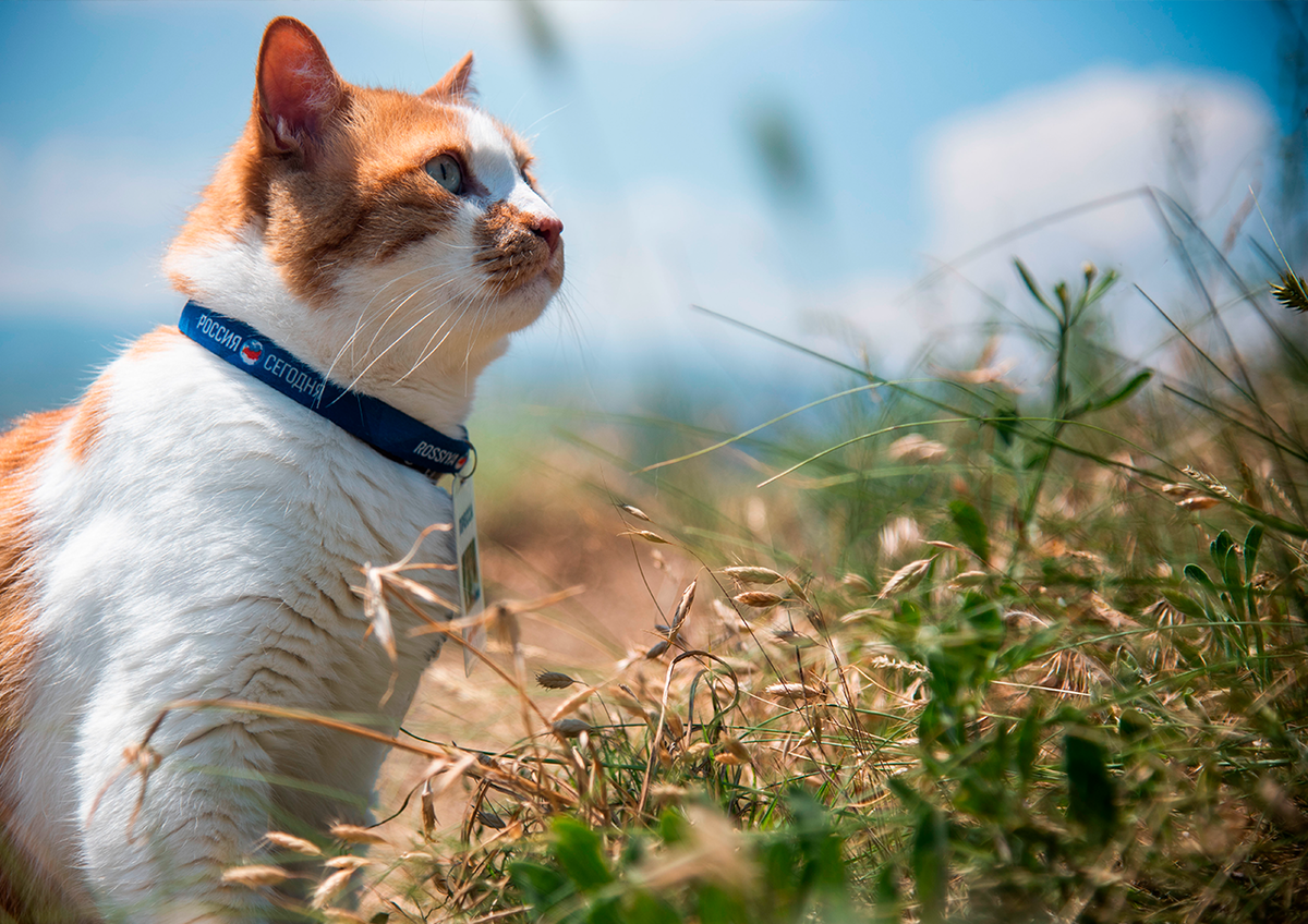 Любуюсь крымской природой.