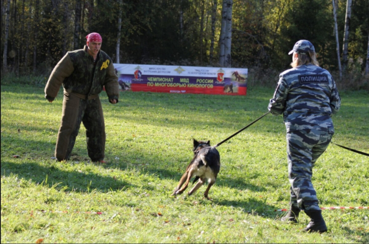 © Пресс-служба УМВД России по Смоленской области