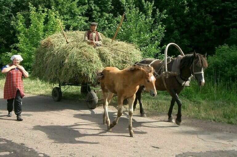   Игорь Самохвалов/ПГ
