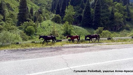 Фильмы на немецком языке