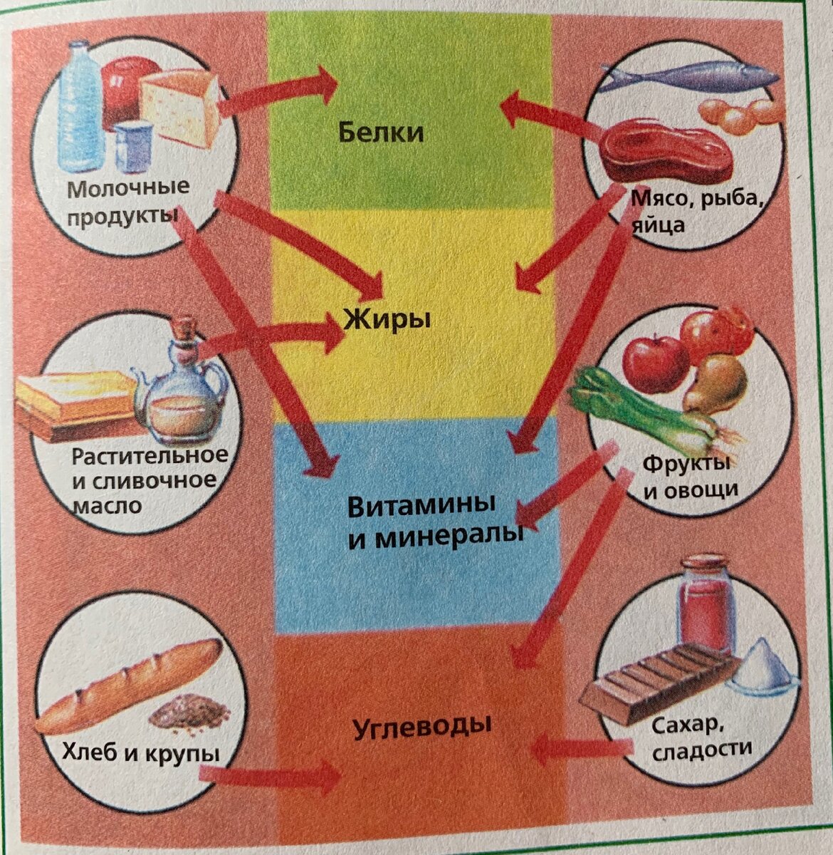 Питательные вещества фото