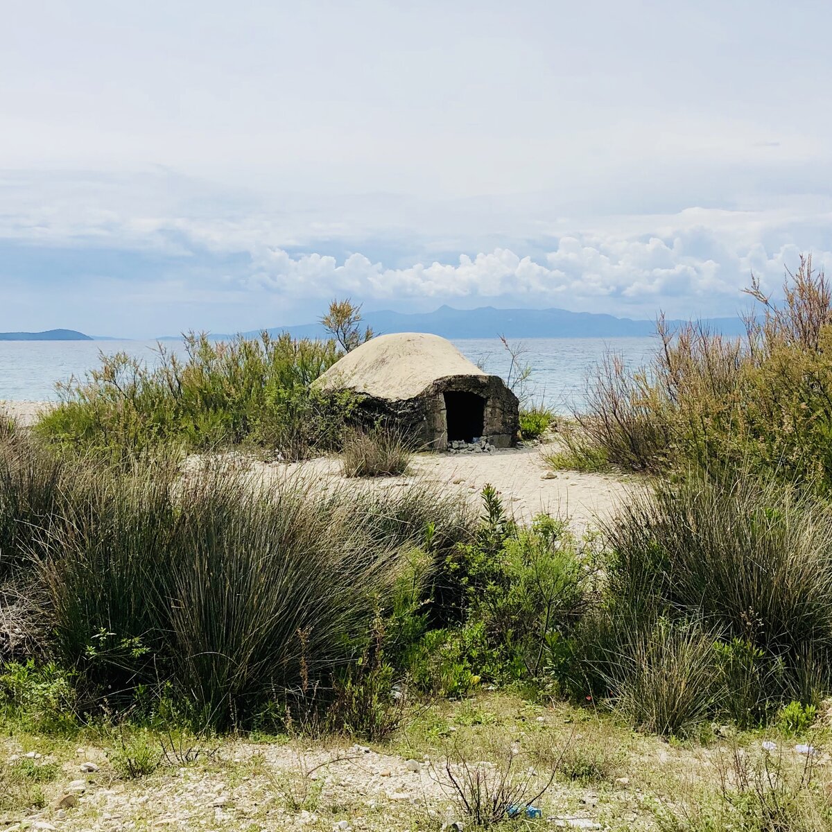 Бетонный гриб на взморье