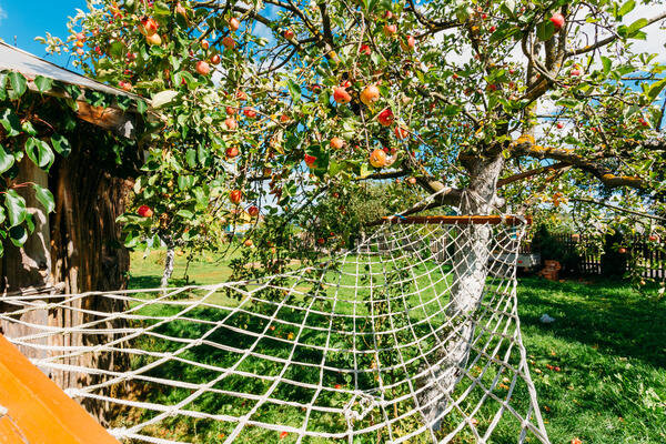 
Хочется же и других дачных удовольствий
