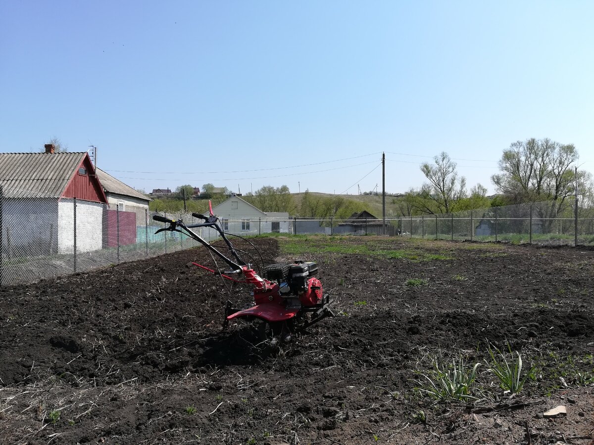 Вторая культивация за весну 2020.