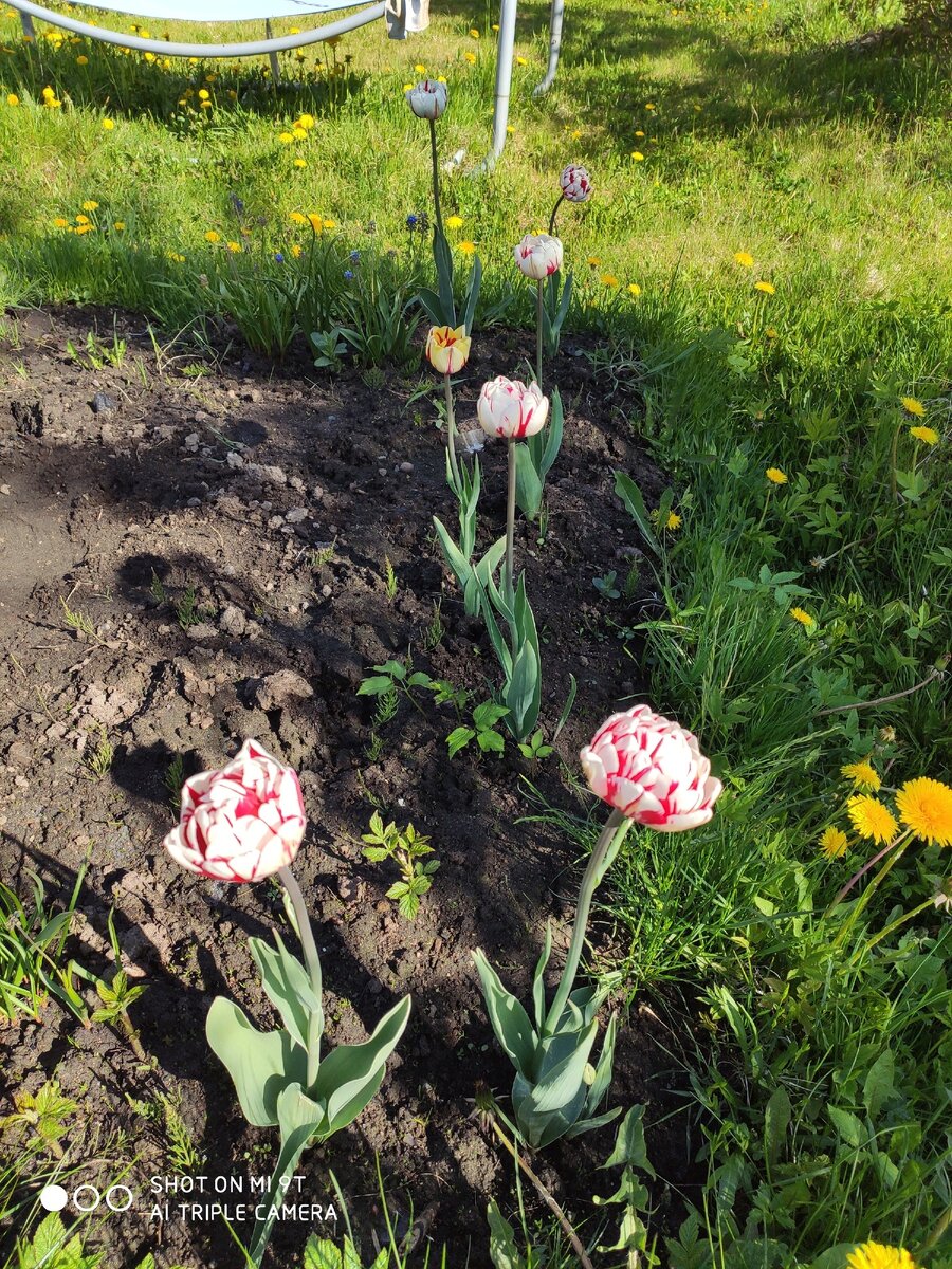 Фото из личного архива