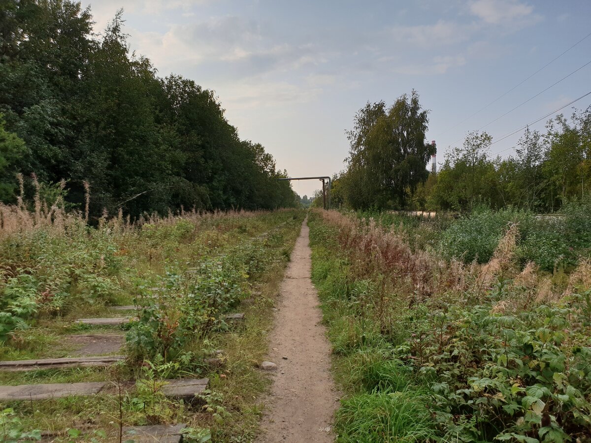 Заброшенная железная дорога