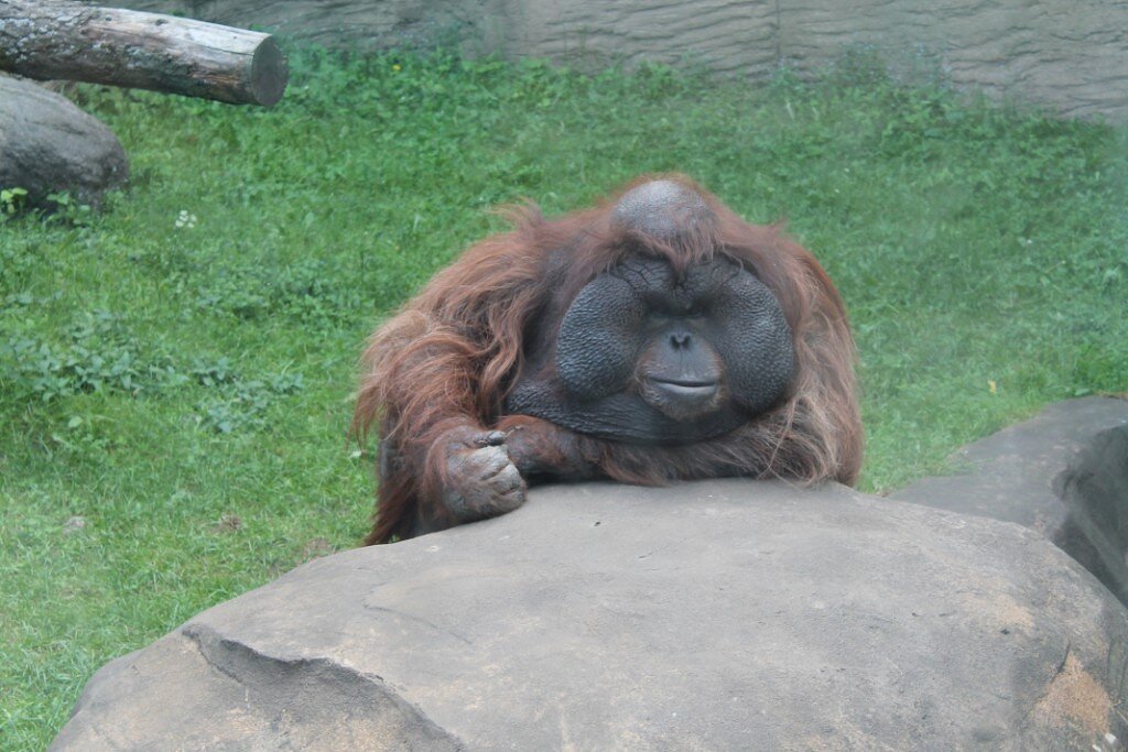 Мама "в авторитете". Фото аффтара