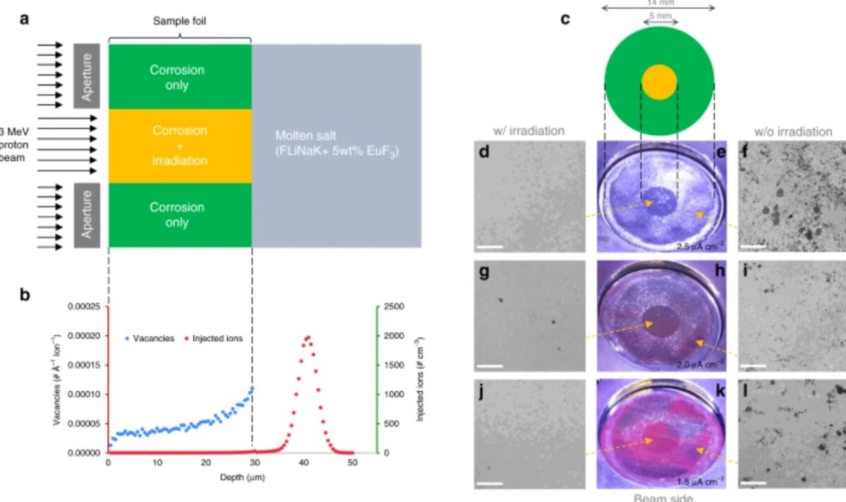а) экспериментальная установка, показывающая, как были созданы две области выборки. b) распределение первичного радиационного повреждения (синие точки) и протонного осаждения (красные точки). c) схема облученной (оранжевой) и необлученной (зеленой) зон. D-l оптические и репрезентативные Сэм-изображения обращенной к пучку стороны фольги Ni-20Cr через 4 ч при температуре 650 °C при различных плотностях тока пучка. d-f) , g)–i) и j) – l) соответствуют плотности тока пучка 2,5, 2,0 и 1,5 МКА см-2 соответственно. Шкала: 200 мкм. 