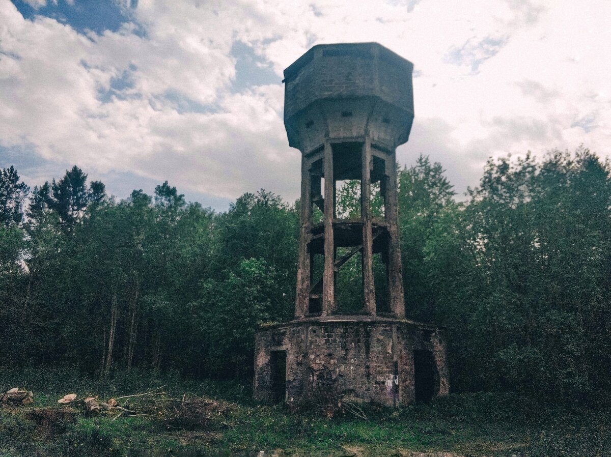 красное село фото авангардного лагеря и башни
