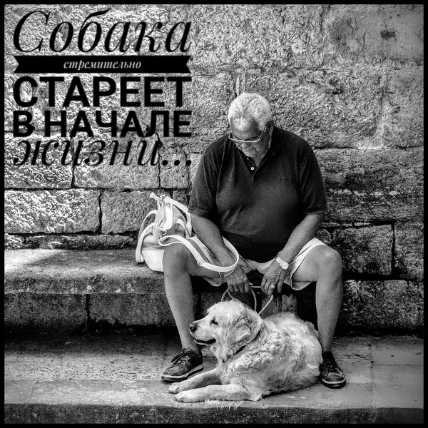 Фото с сайта popmech.ru