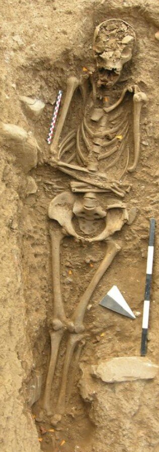 Источник Яндекс Картинки