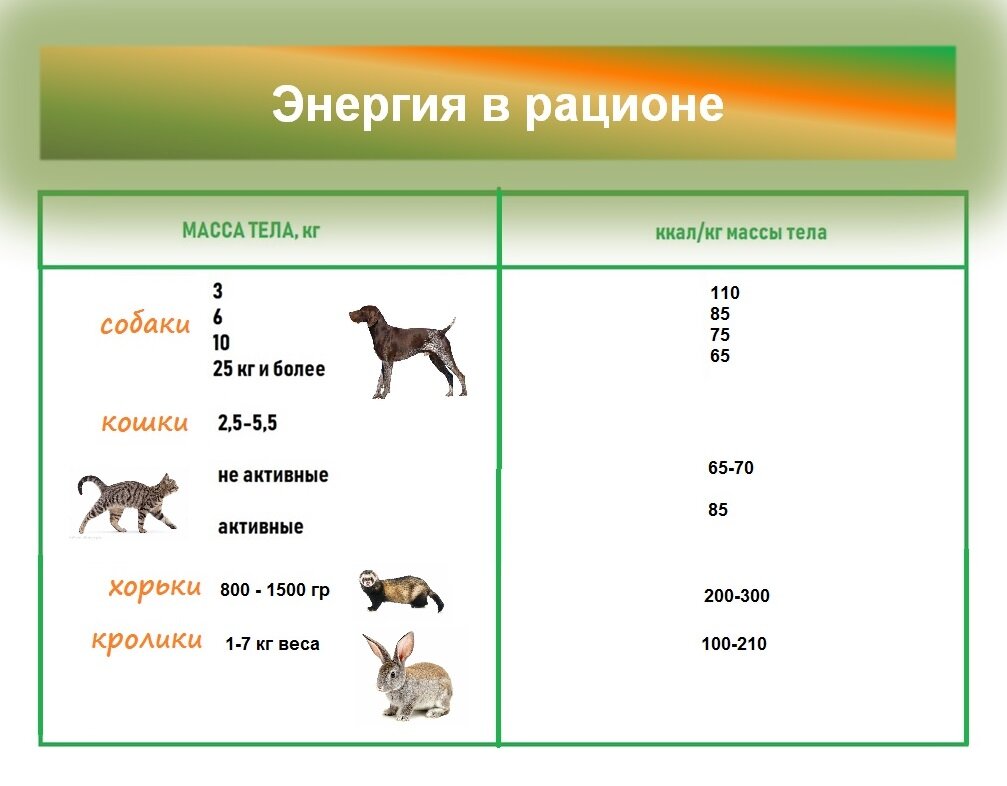 Энергия в рационе ккал в сутки