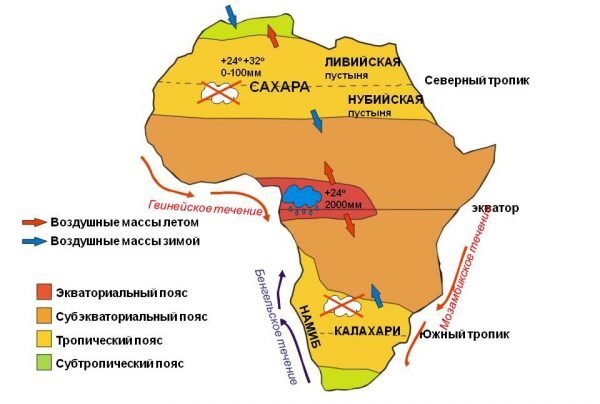 Африка, имея протяженность 7992 км по длине и 7500 км по ширине, расположена в четырёх климатических поясах