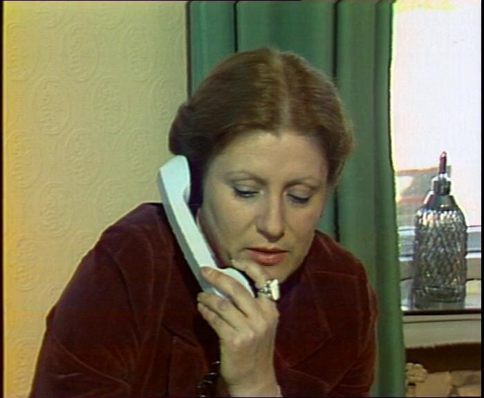 "Следствие ведут ЗнаТоКи. Дело №16. Из жизни фруктов", 1981