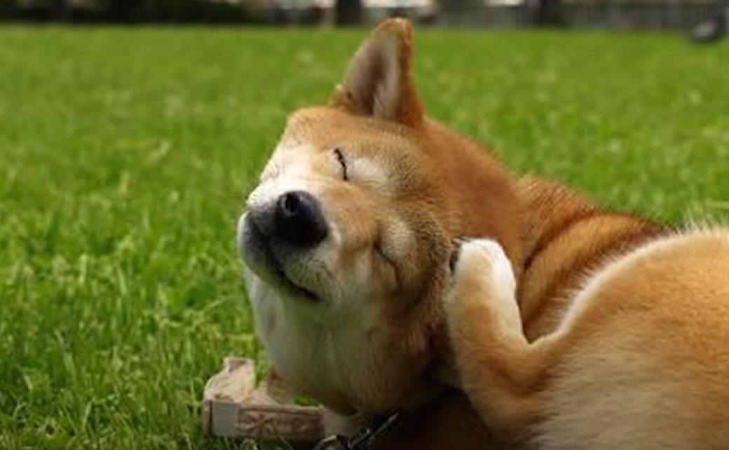 -2