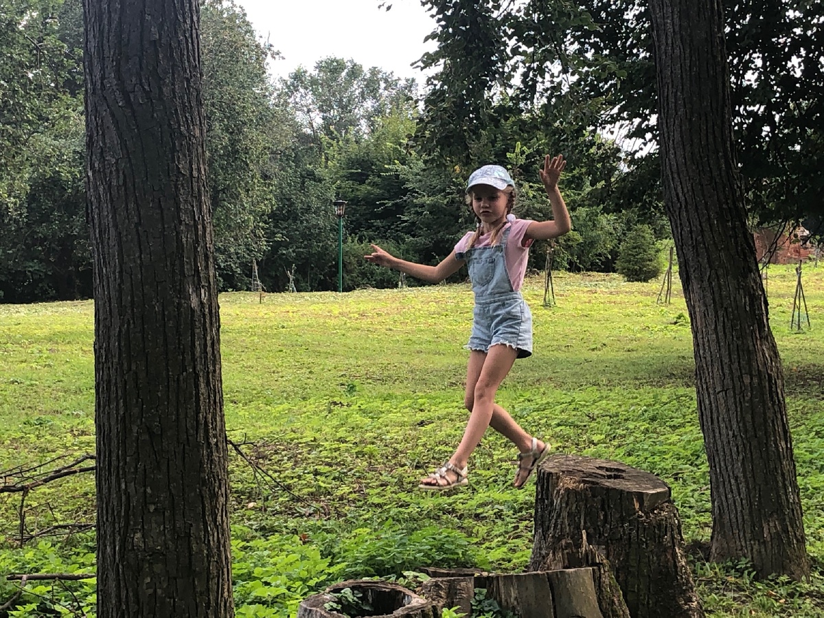 Дорогой Читатель! Поддержите канал лайками, комментариями, подпиской!