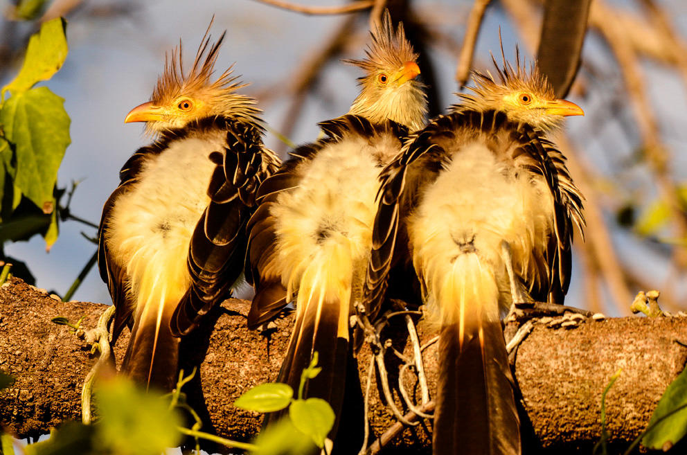 За детишек и двор стреляют в упор. 