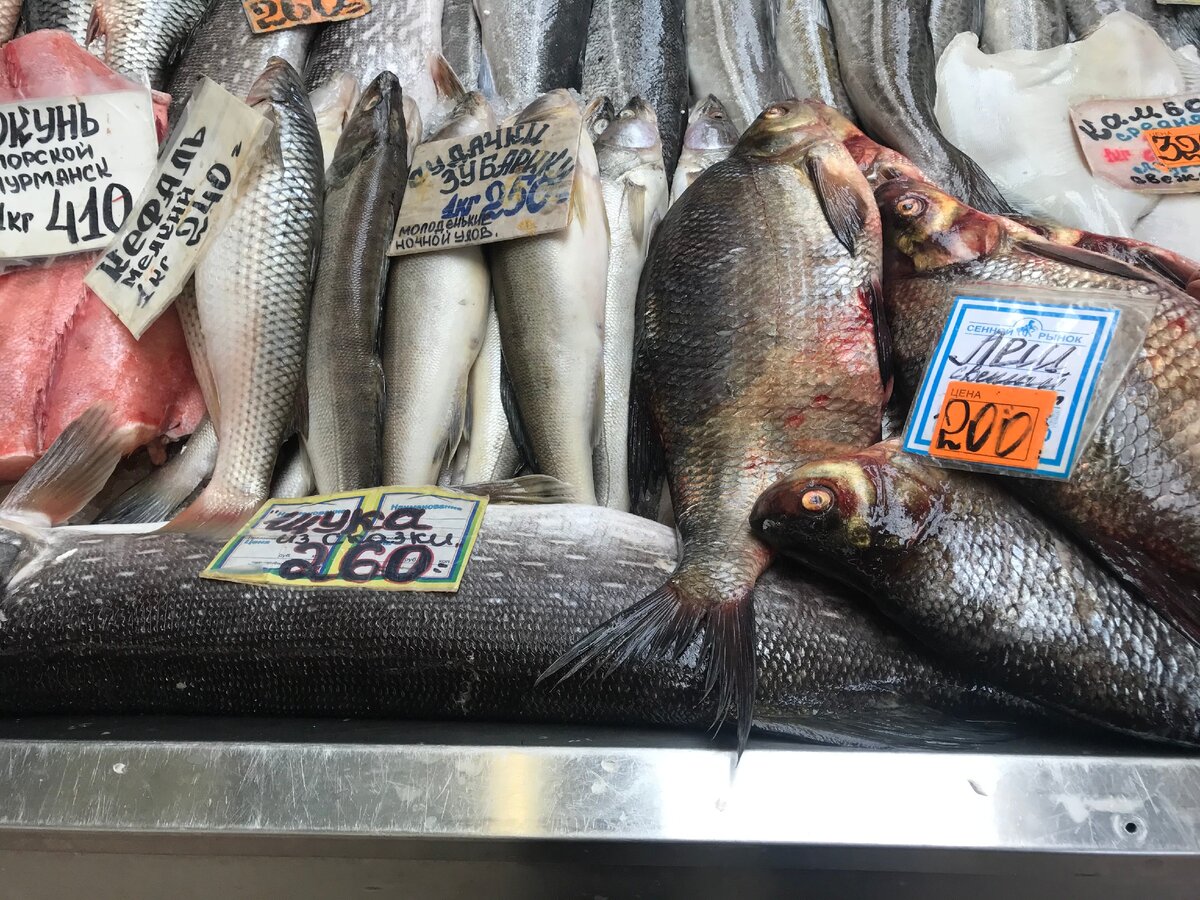 Купить рыбу в саратове. Рыба на Сенном рынке. Рыба на Сенном рынке в Питере. Рыбный рынок в Саратове. Форель на рынке.