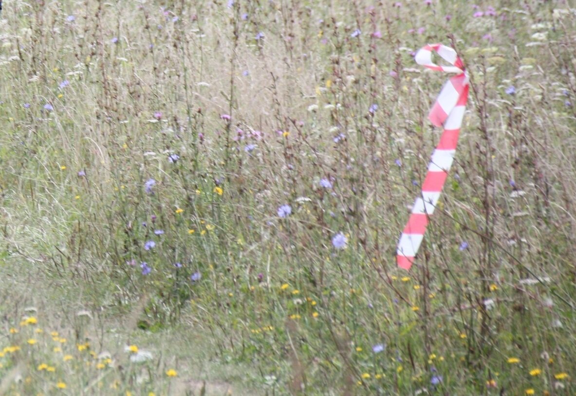 #ШТС XCM-Тихвинка | Kipitilnic Blog | Дзен