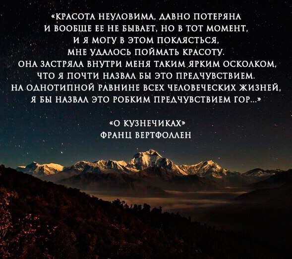 Цитата из книги передает то, что все время силишься себе сформулировать, но пока не прочитаешь эти строки, так и не можешь понять, что с тобой происходит.
